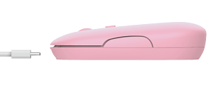 mousetrustpink_informatica_xpres